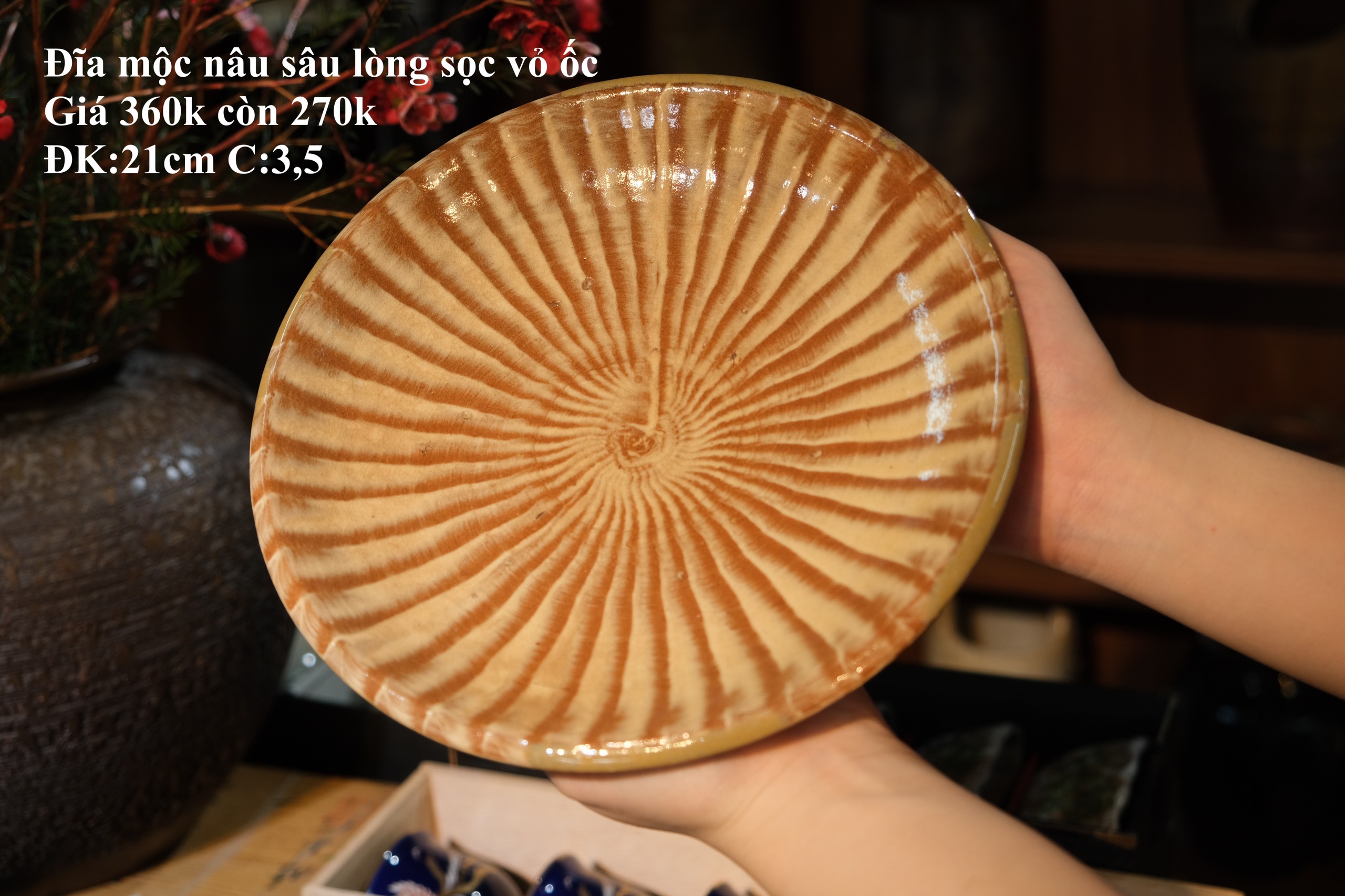Đĩa mộc nâu sâu lòng viền xoắn