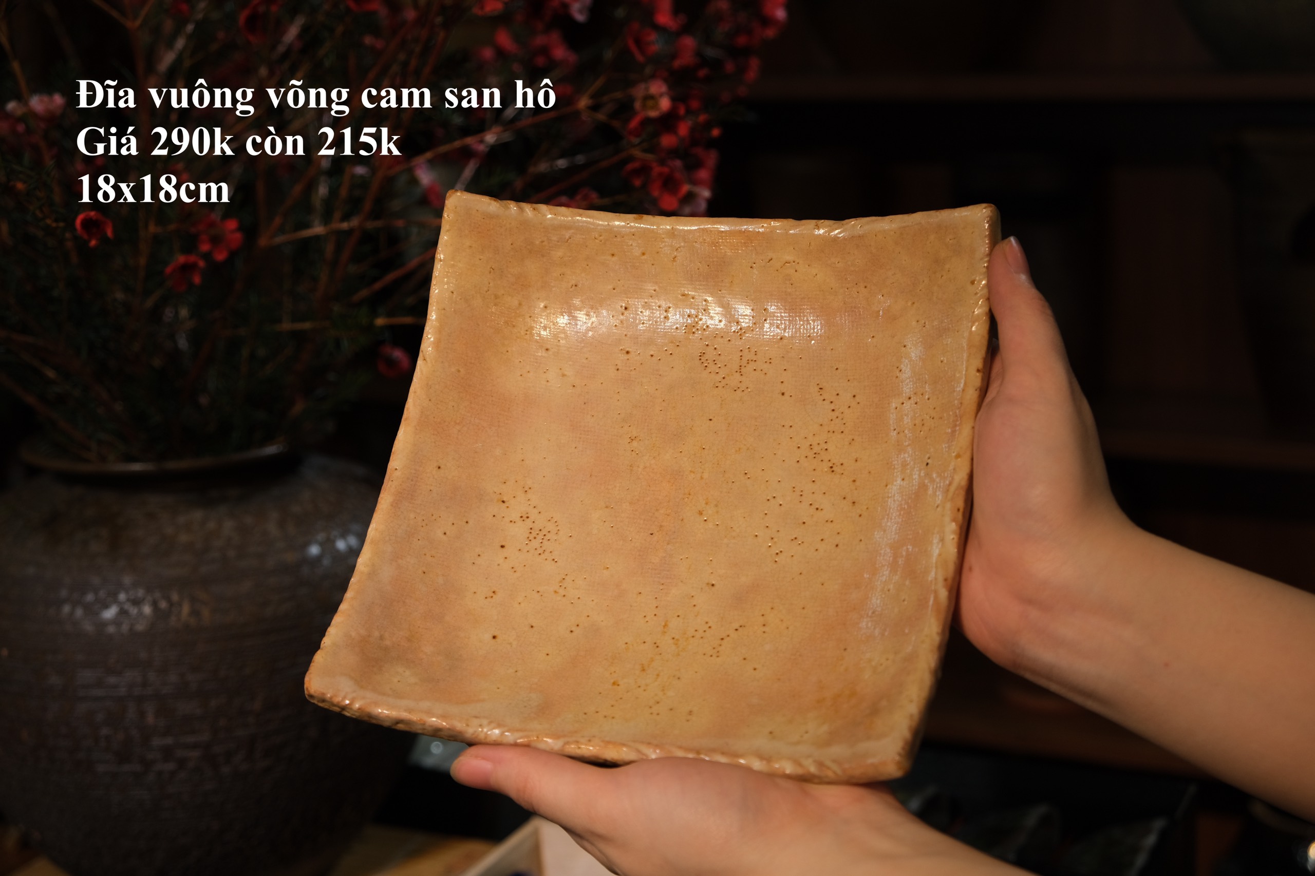 Đĩa vuông cam san hô