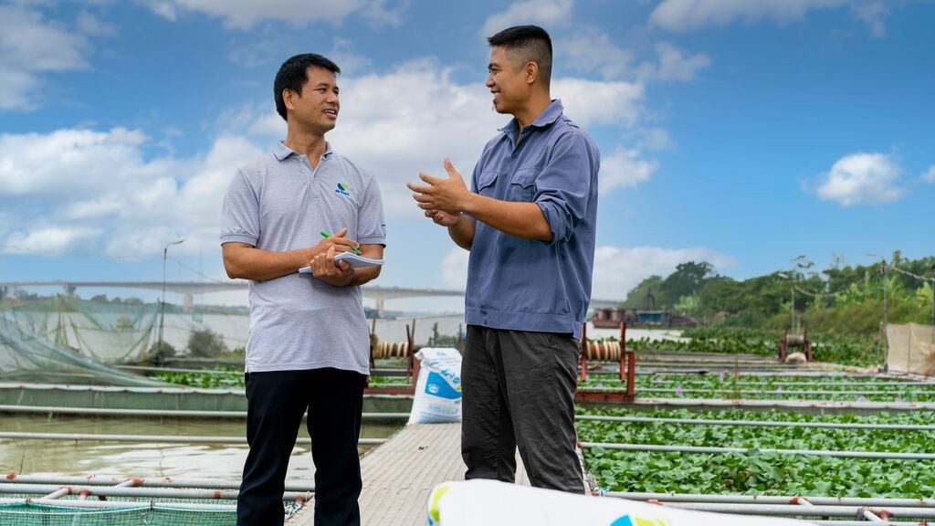 Tư vấn kỹ thuật trực tiếp tại các trang trại chăn nuôi