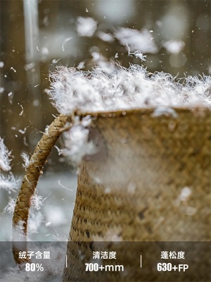 Mã A660: Áo Khoác Nỉ Nam Madden