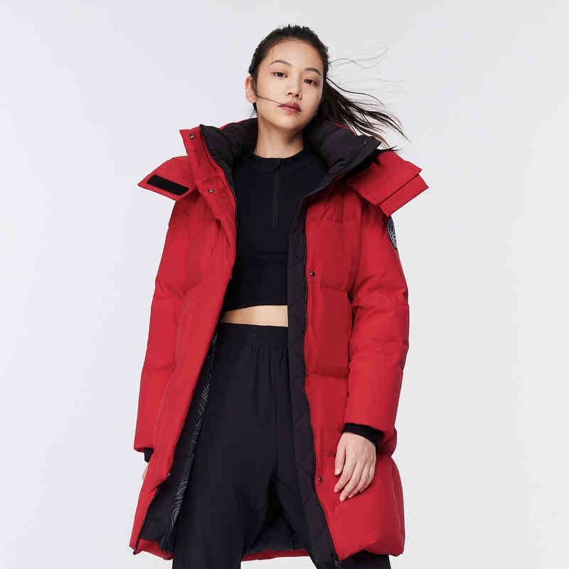 C161: Áo khoác ấm thời trang mùa đông Bosdeng nữ