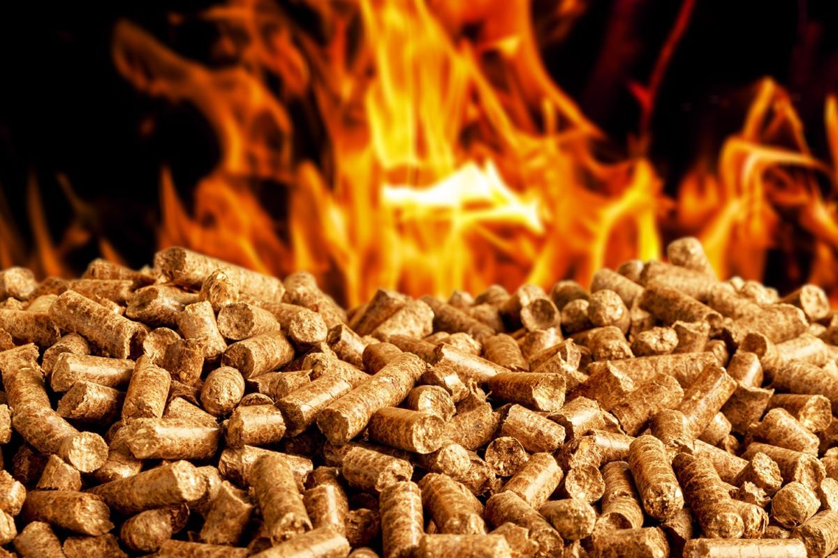 CÔNG DỤNG CỦA TRẤU VIÊN