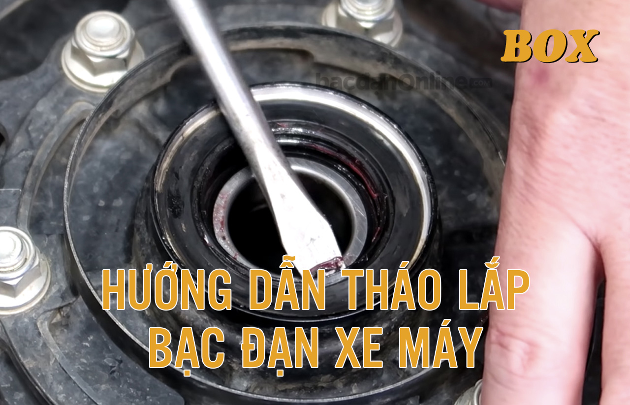 Hướng Dẫn Thay Bạc Đạn Cho Xe Máy