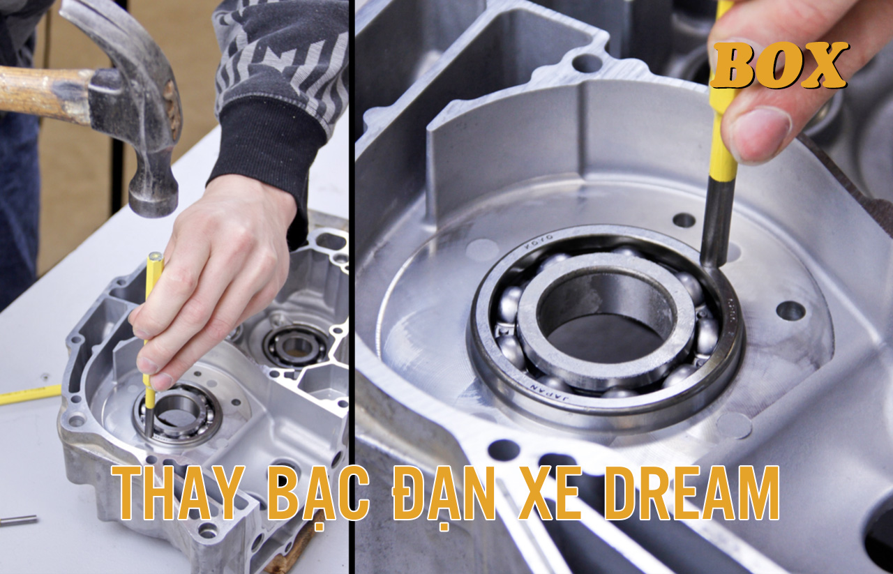 Thay Bạc Đạn Cho Xe Dream