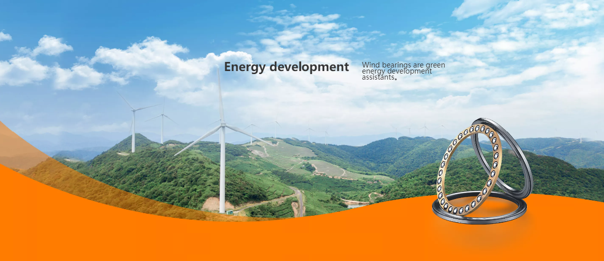 Tại sao chọn chúng tôi?