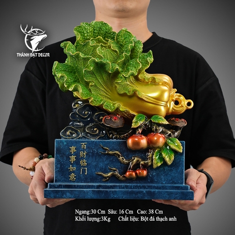 Ý Nghĩa Bắp Cải Trong Phong Thủy Bạn Nên Biết