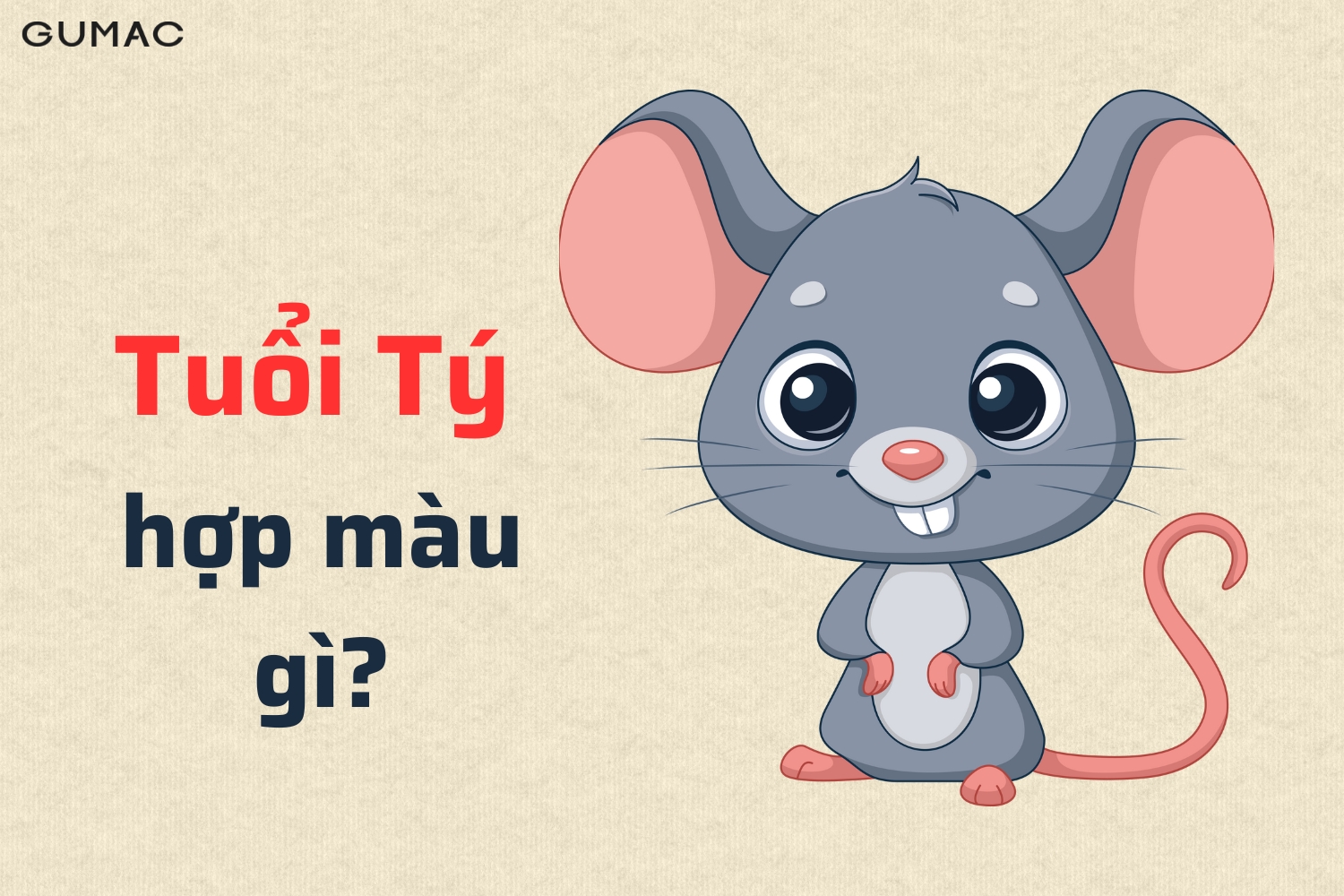 Phong thủy tuổi Tý hợp và kỵ với những màu gì nhất?