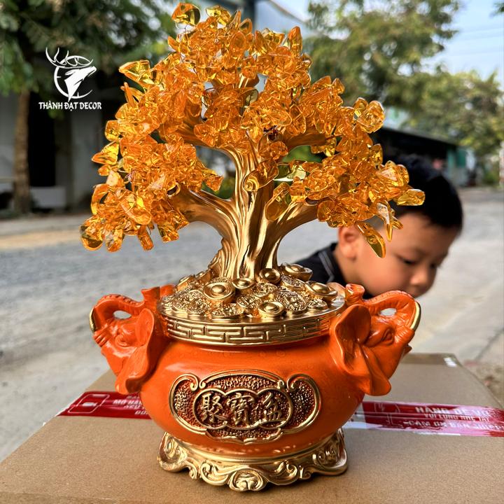 Cây Phú Quý Tài Lộc Tượng Hươu, Cây Kim Tiền Phong Thủy, Quà Tặng Tân Gia Khai Trương Sinh Nhật Decor Phòng