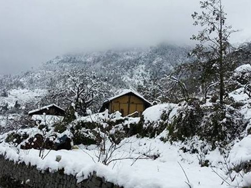 Loại đệm nào tốt nhất cho mùa đông lạnh giá?