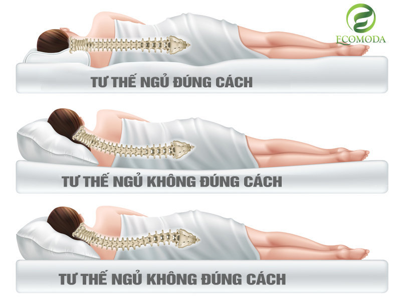 Tư Thế Nằm Ngủ và Sức Khỏe: Bí Mật Tại Sao Nằm Nghiêng Bên Trái Tốt?