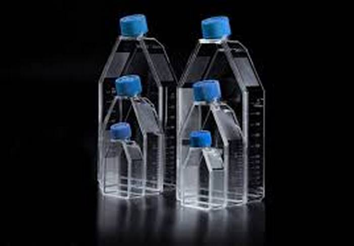 Chai nuôi cấy tế bào-Cell Culture Flasks, 5 cái/túi, Hãng Biologix-USA