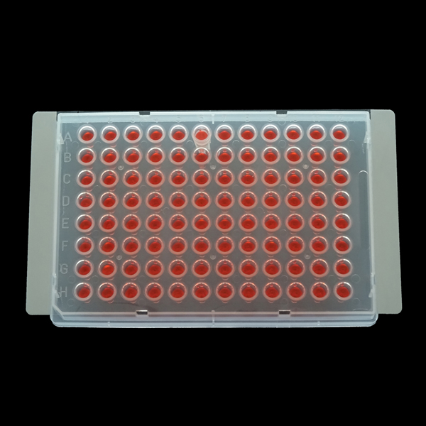 Tấm Film eXTReme Seal, DNase- & RNase- free, hộp 100 tấm, hãng Biologix - USA