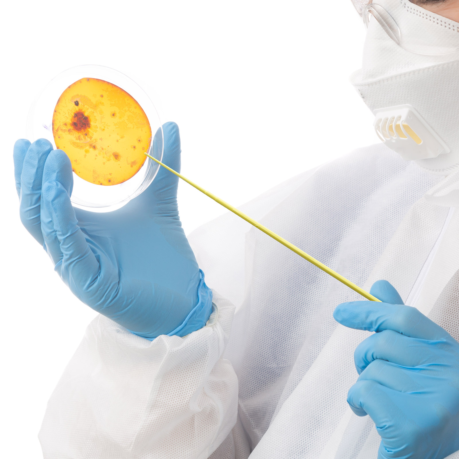 Que cấy vi sinh đầu kim, Túi 25 chiếc, tiệt trùng, Hãng Biologix-USA