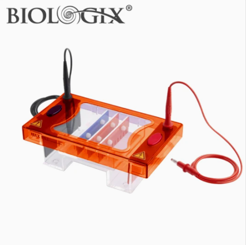 Bể điện di (Electrophoresis Tanks), hãng BIOLOGIX-USA