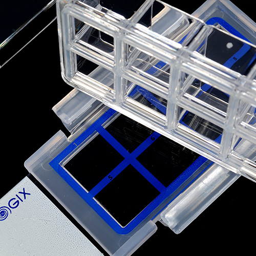 Khay nuôi cấy tế bào (Cell Culture Slides), hãng Biologix-USA