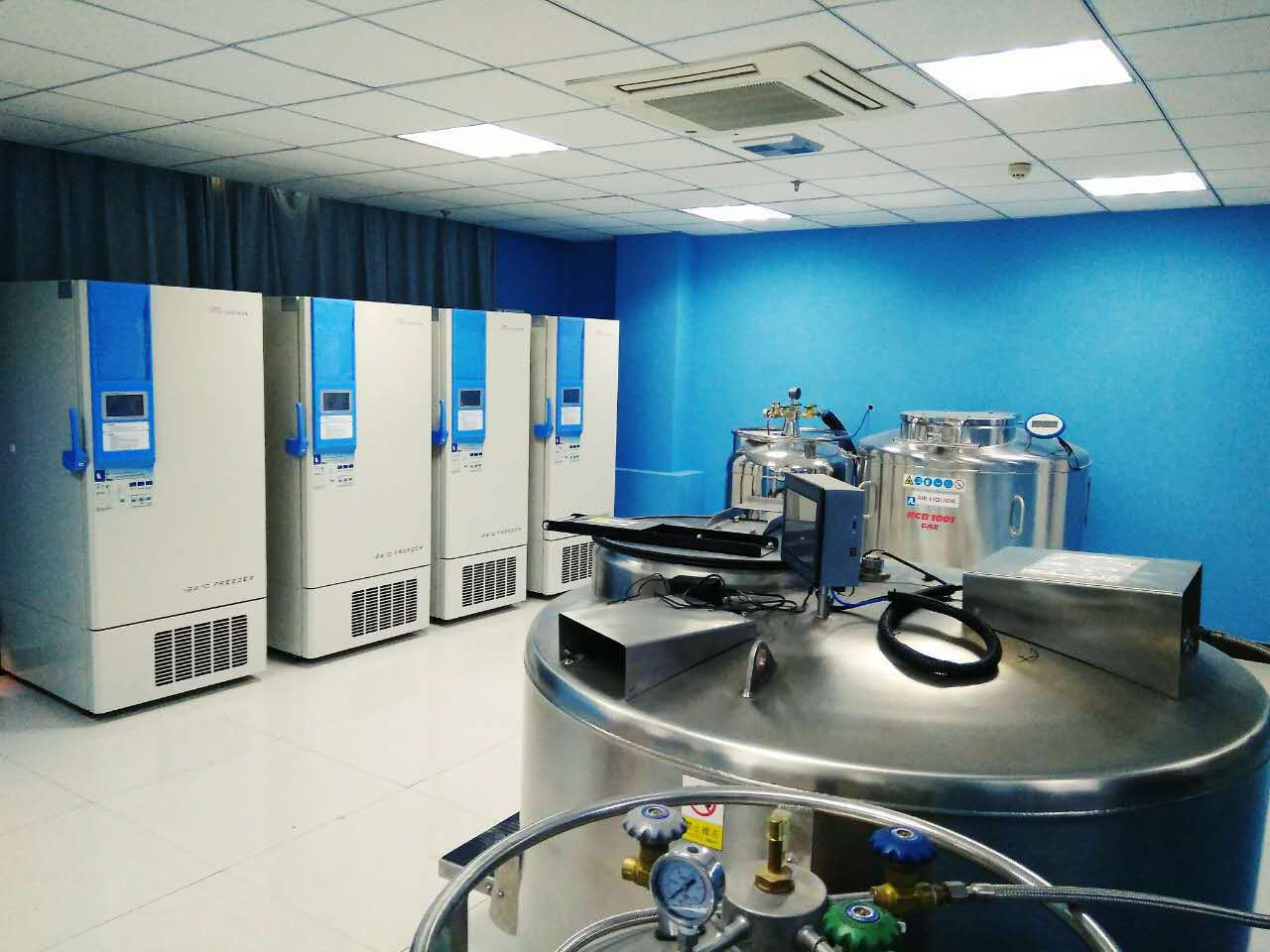 Hành trình đam mê