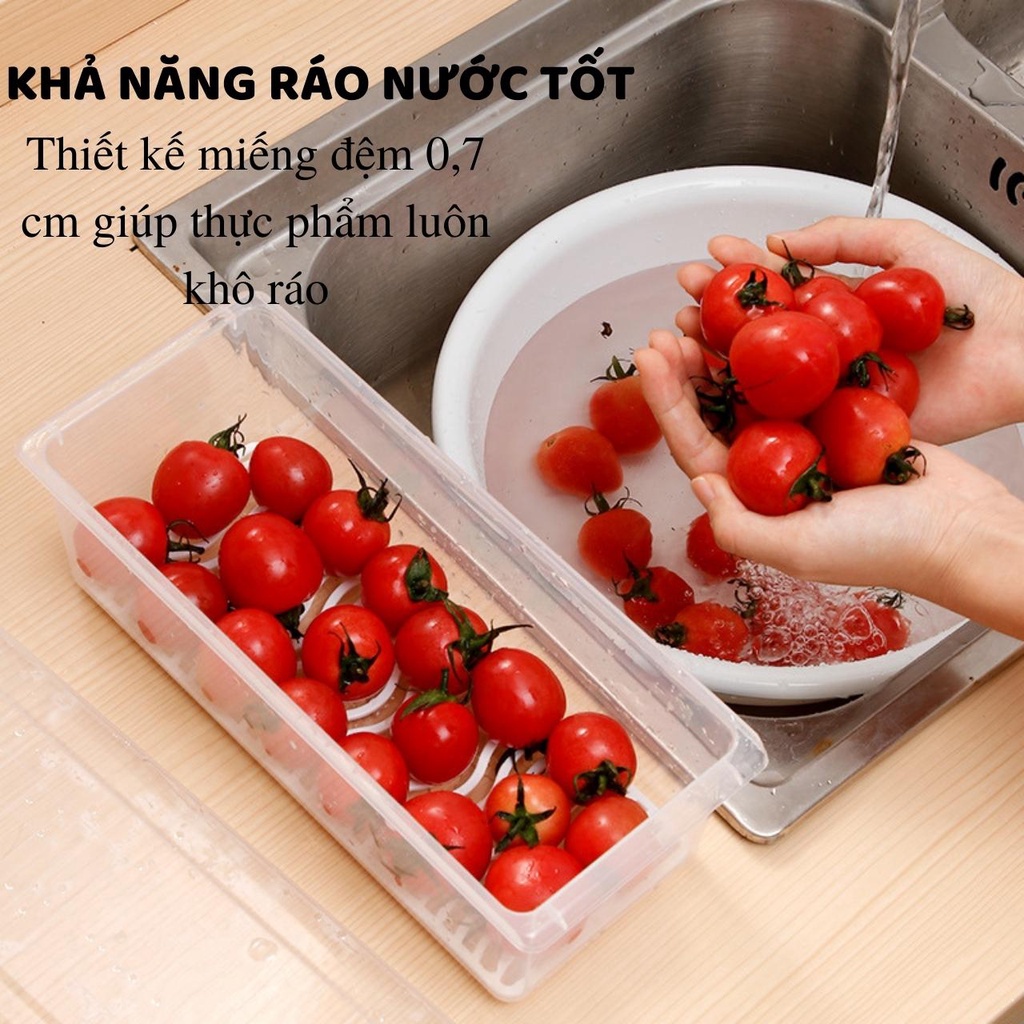 Hộp đựng thực phẩm 6586 Việt Nhật - Việt Nhật Plastic HN