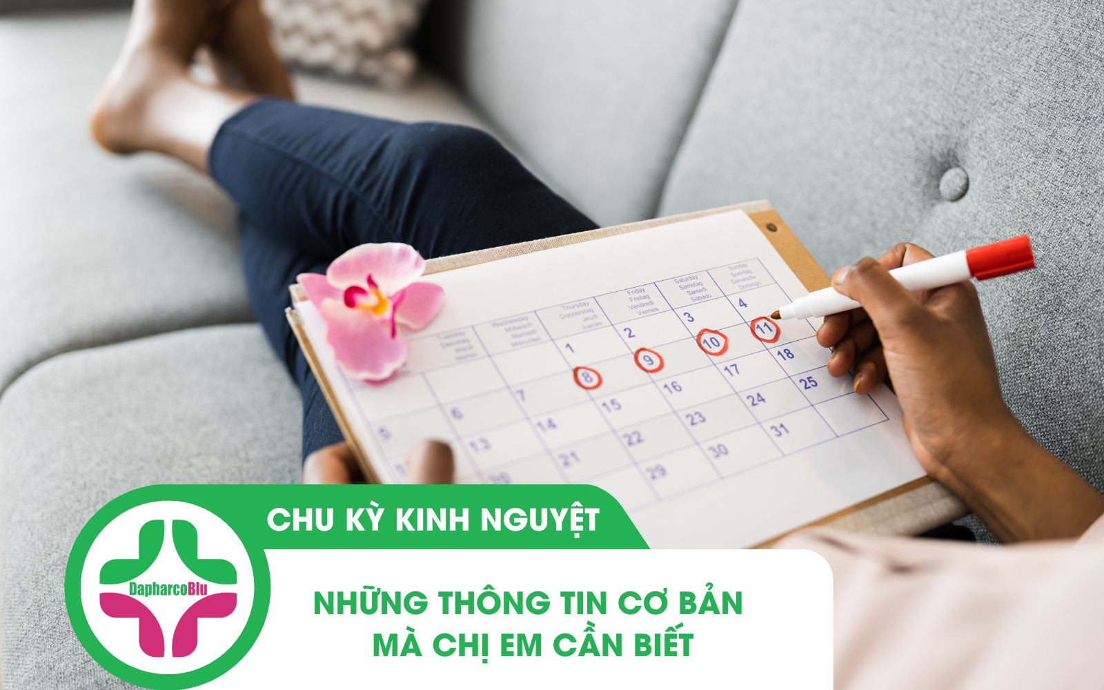 Chu Kỳ Kinh Nguyệt: Những Thông Tin Cơ Bản Mà Chị Em Cần  Biết