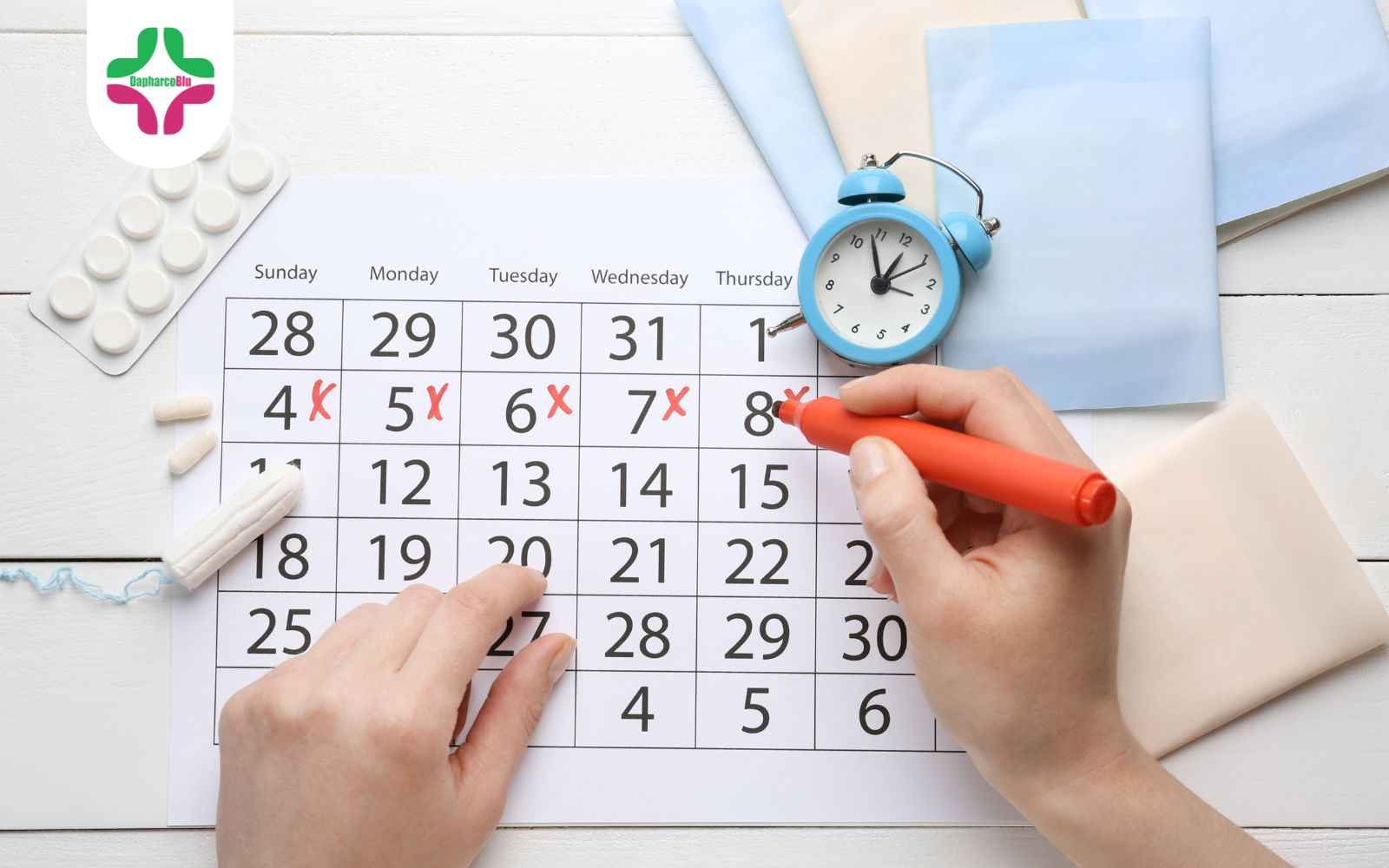 Chu Kỳ Kinh Nguyệt: Những Thông Tin Cơ Bản Mà Chị Em Cần  Biết