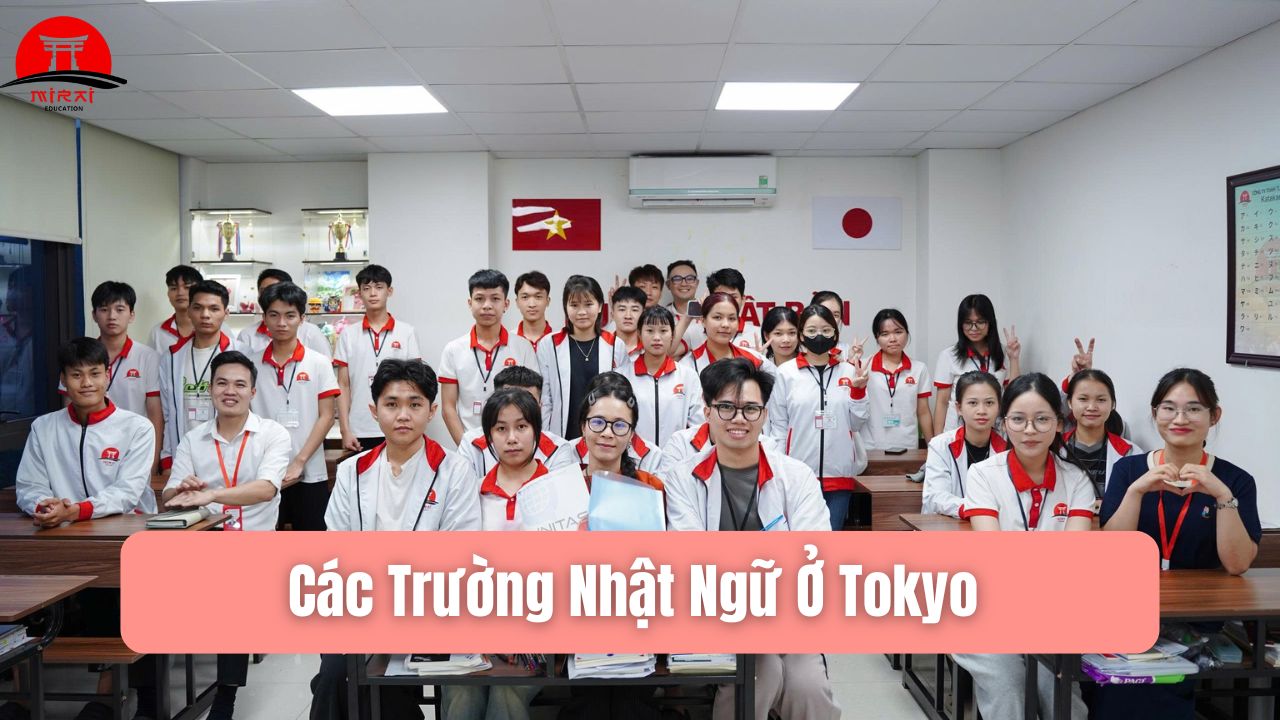 Các Trường Nhật Ngữ Ở Tokyo – Cẩm Nang Chọn Trường Khi Du Học