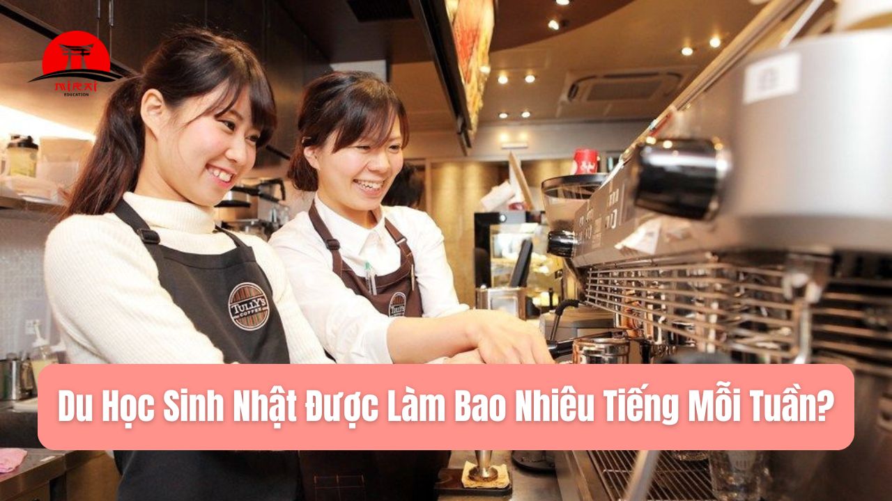 Du Học Sinh Nhật Được Làm Bao Nhiêu Tiếng Mỗi Tuần?