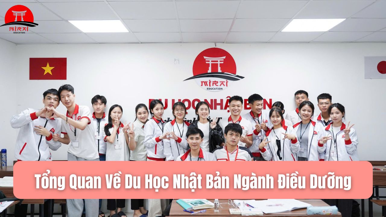 Du Học Nhật Bản Ngành Điều Dưỡng – Cơ Hội Việc Làm Ổn Định, Thu Nhập Cao