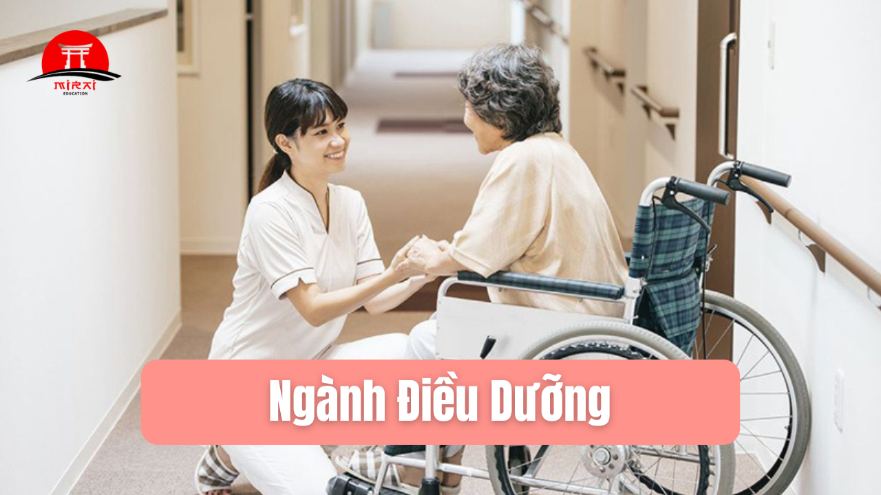 Đi Du Học Nhật Nên Học Ngành Gì?