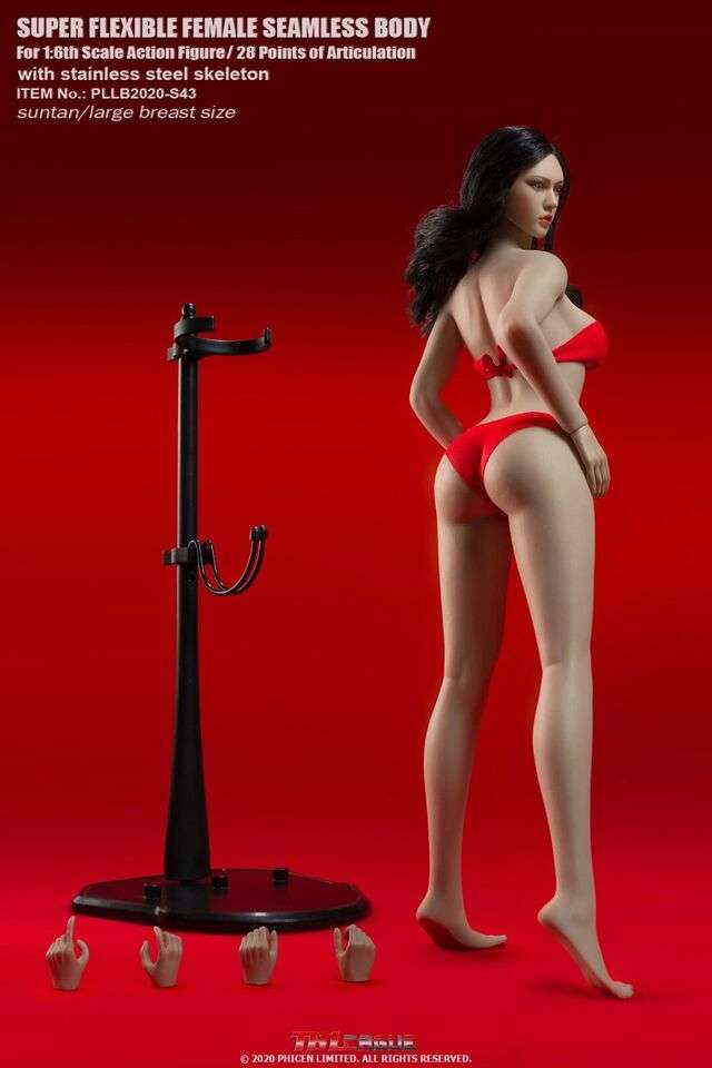 TBLeague: Super-Flexible Female Seamless 1/6 Scale (S42 and S43)