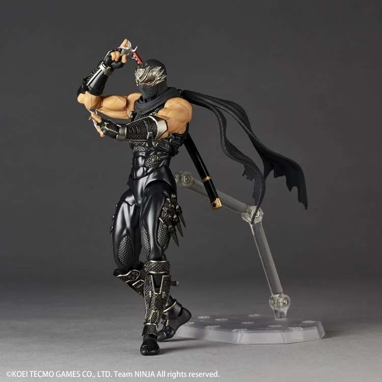 Amazing Yamaguchi: Ryu Hayabusa (Ninja Gaiden)