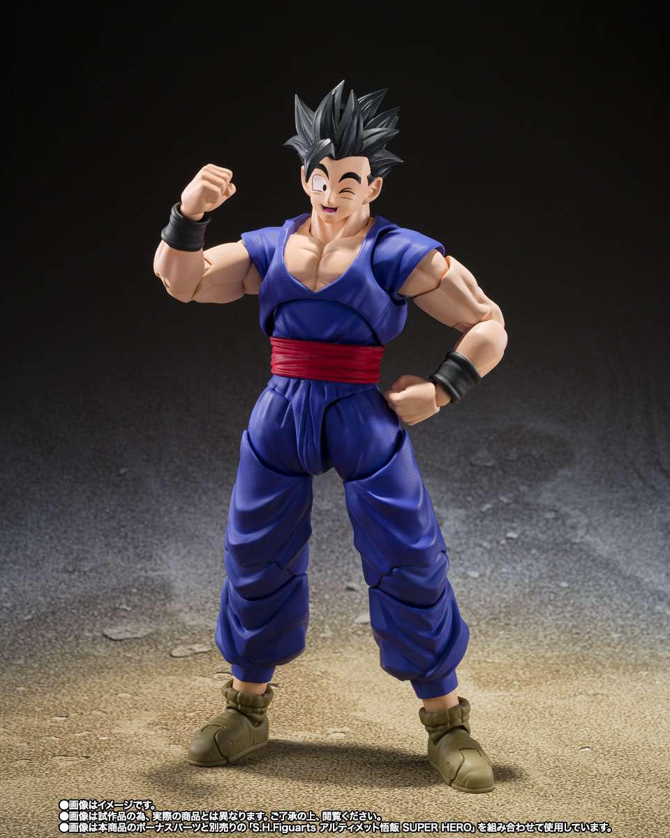 S.H.Figuarts: Pan (Super Hero)