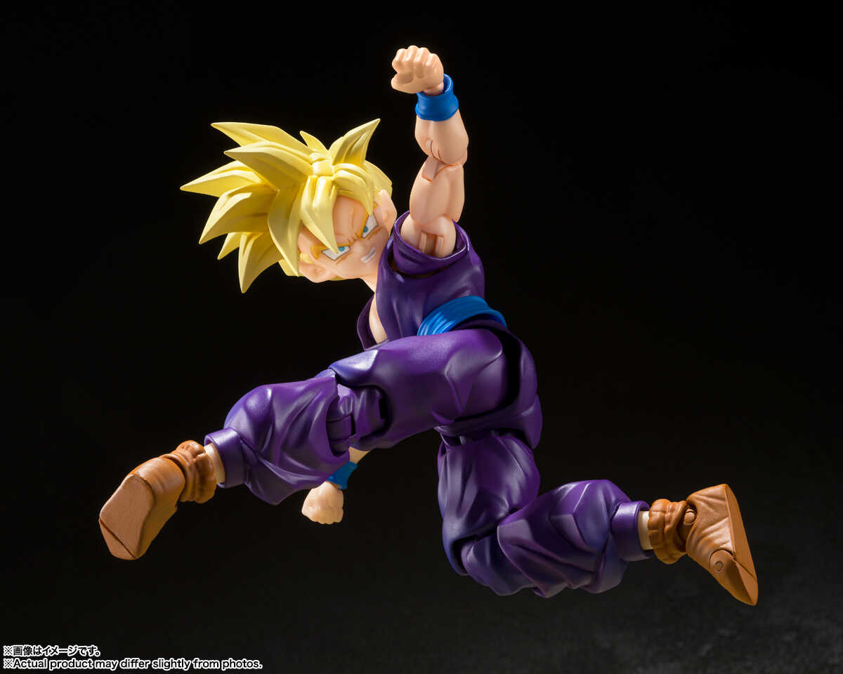 S.H.Figuarts: Songohan (The Fighter who surpassed Goku)