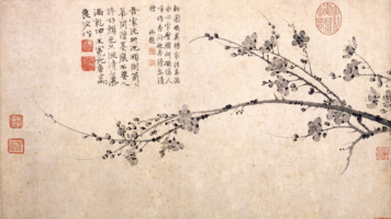 Tinh thần hoa mai kiên định