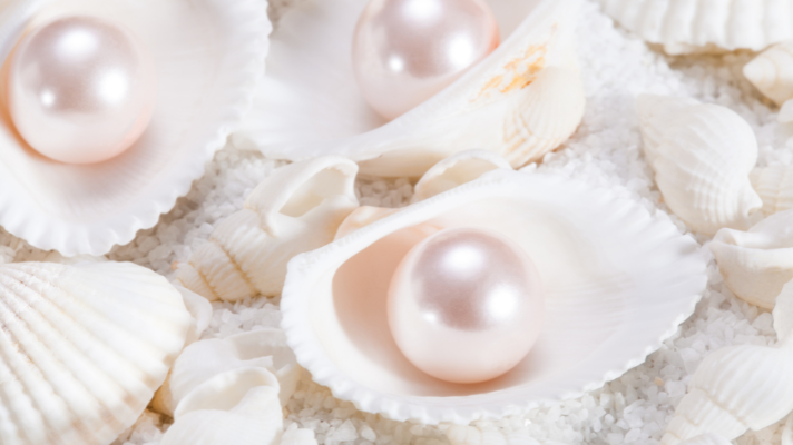 Lịch Sử Ngọc Trai: Biểu Tượng Của Vẻ Đẹp Vĩnh Cửu Và Tinh Tế