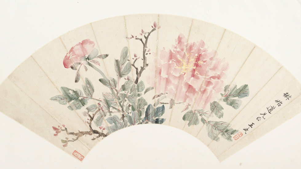 Những câu thơ hay về hoa mẫu đơn được lưu truyền thiên cổ