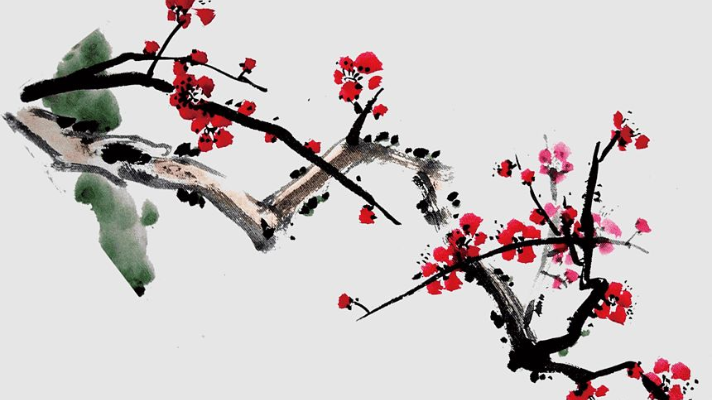 Những câu thơ hay về hoa mai được lưu truyền thiên cổ