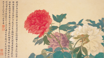 Mẫu Đơn – Biểu Tượng Của Vẻ Đẹp Vượt Thời Gian