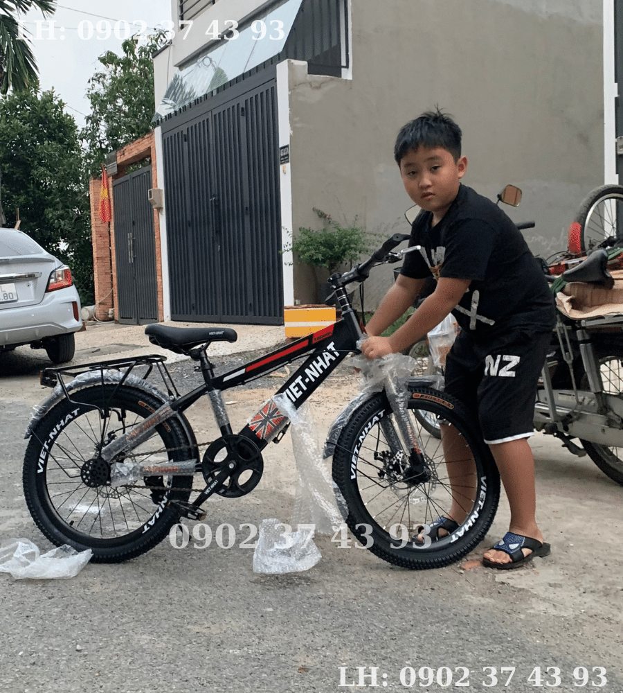 Xe Đạp Việt Nhật Xe Đạp Nam Hàng Việt Nam Kiểu Dáng Thể Thao Có Baga Size 20inch - Mã VN-101
