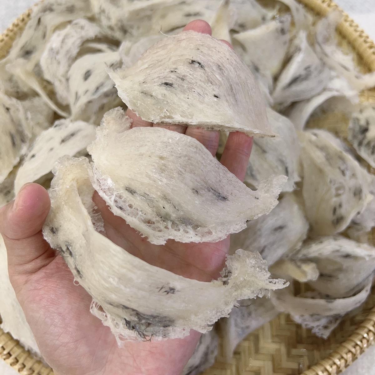 Yến thô góc ít lông