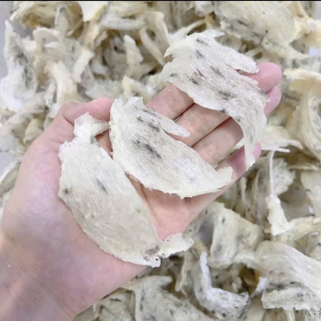 Tổ yến thô bể lớn ít lông nhíp