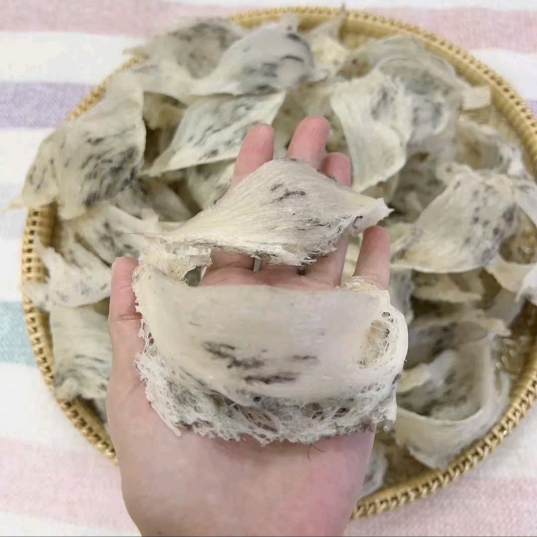 Tổ Yến thô from AB tương đối ít lông