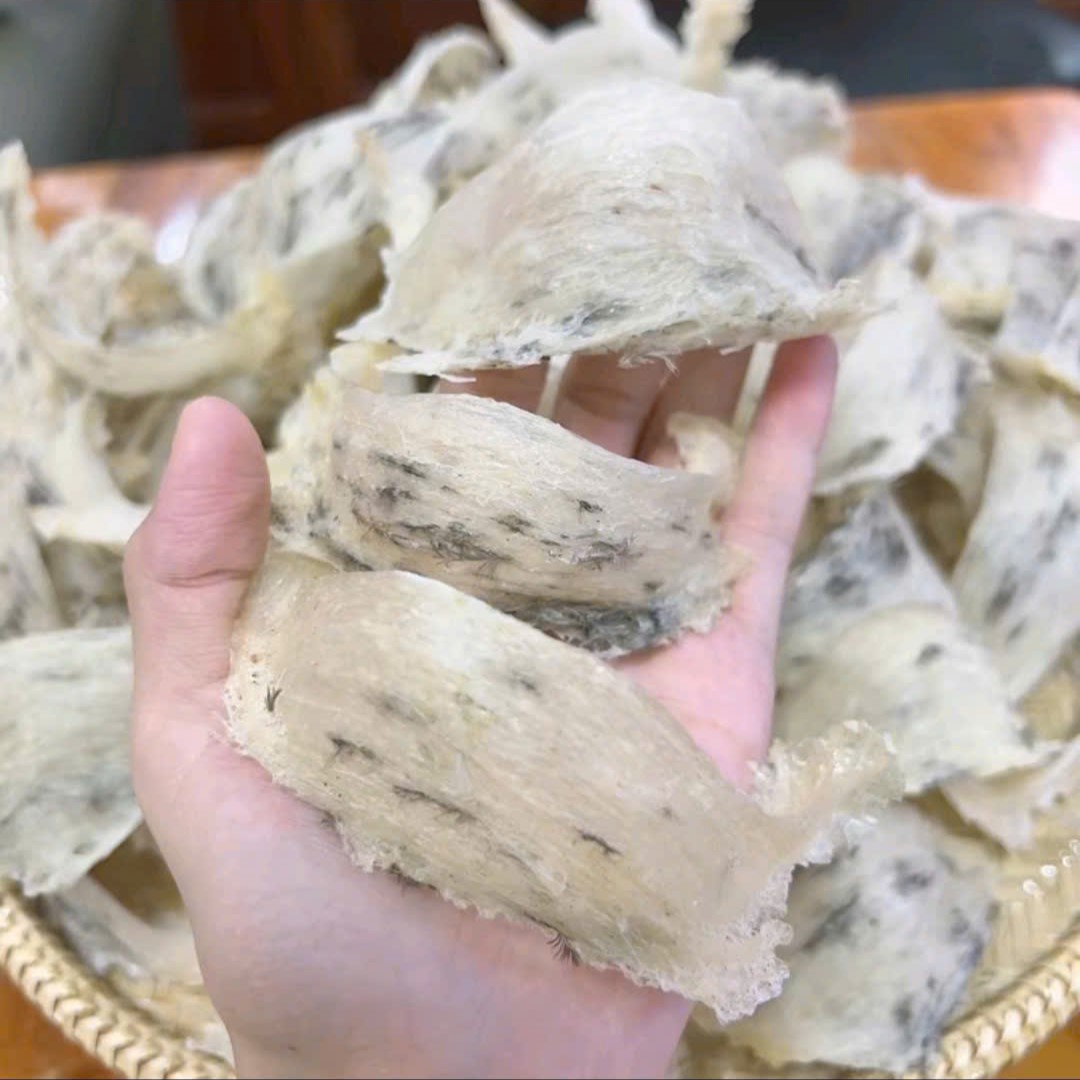 Tổ Yến thô from AB tương đối ít lông