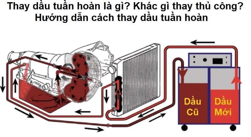 Thay dầu tuần hoàn là gì? Khác gì thay thủ công? Hướng dẫn cách thay