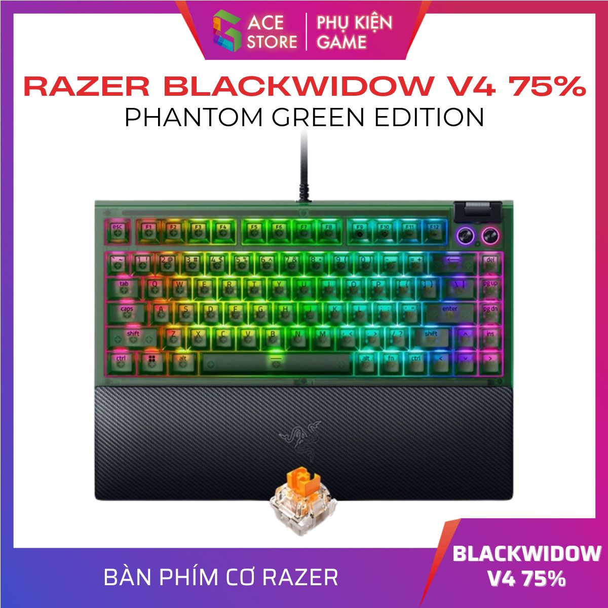 Bàn phím cơ Razer BlackWidow V4 75% Phantom Green Edition RGB Hotswap Razer Switch Orange RZ03-05003300-R3M1