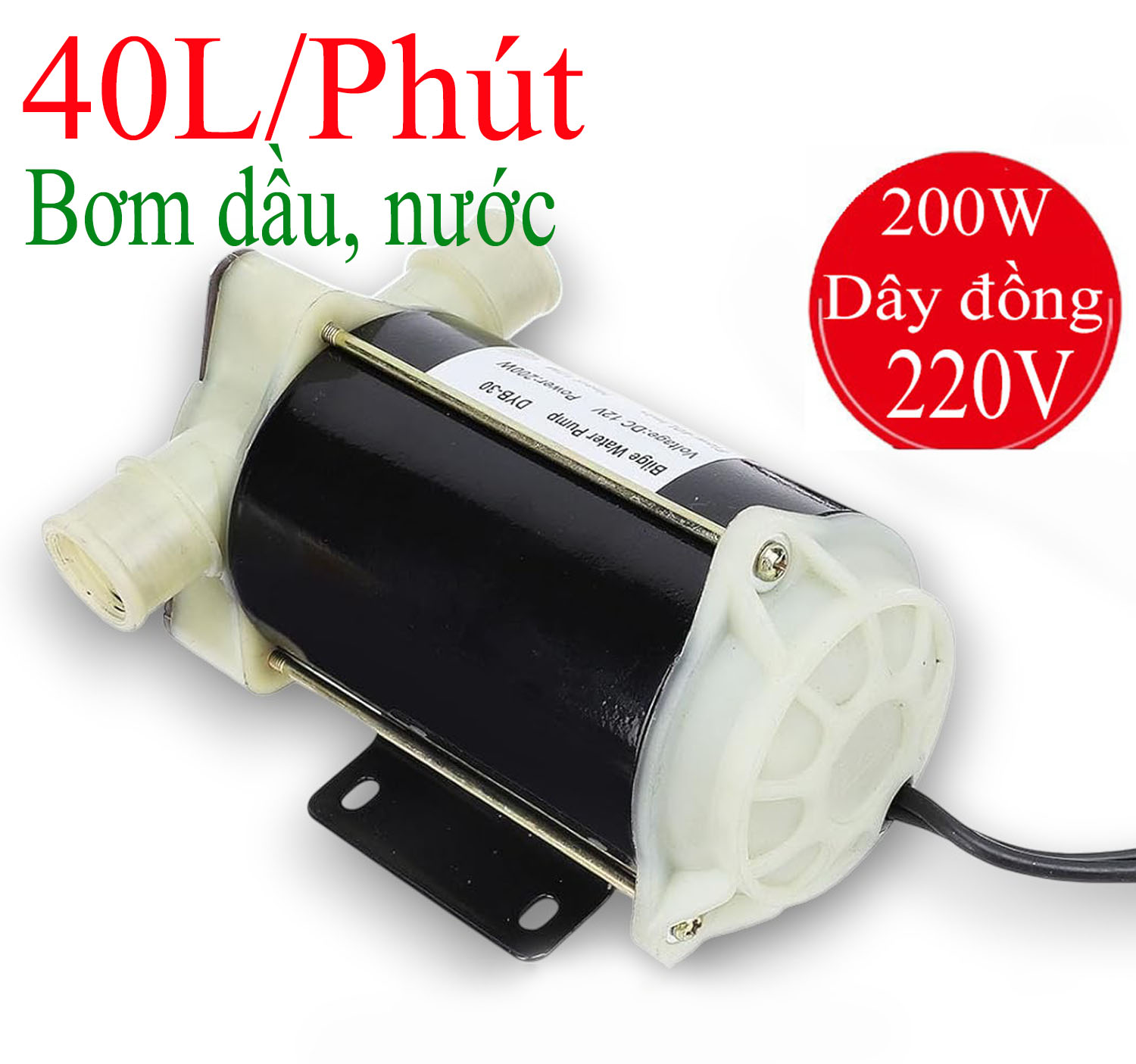 Bơm bơm nước đáy tầu thuyền DYB-30, điện 12V/24V/220V công suất 200W tôi đa 40 lít/1phút