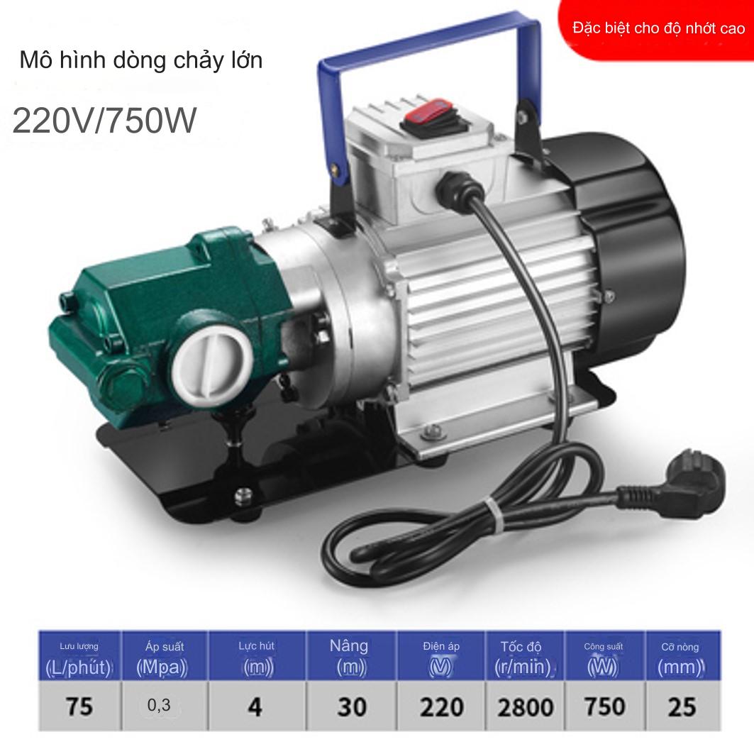 Máy bơm hút dầu nhớt bơm bánh răng ăn khớp ngoài Suoli