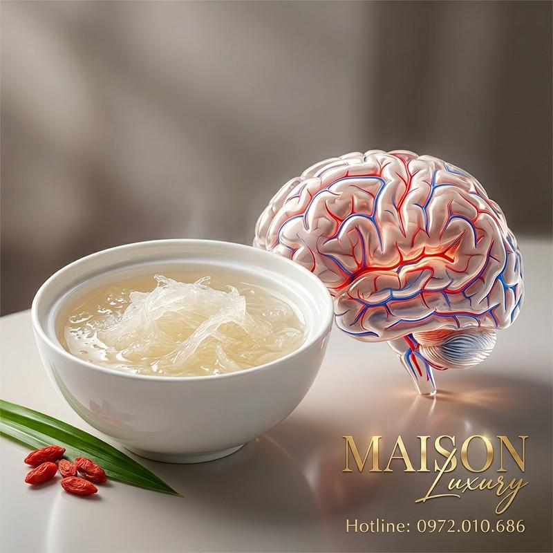 Yến Sào: Cải Thiện Tuần Hoàn Máu Não, Giảm Hoa Mắt Chóng Mặt