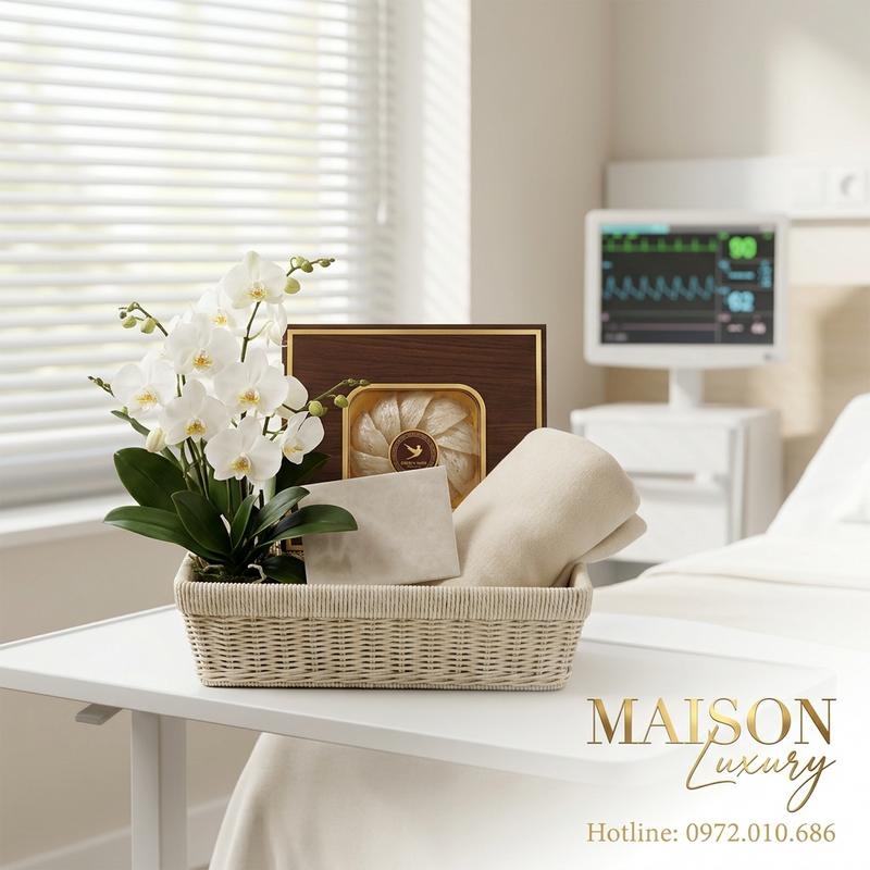 Top 5 Set Quà Tặng Yến Sào Sang Trọng Nhất Cho VIP Nằm Viện