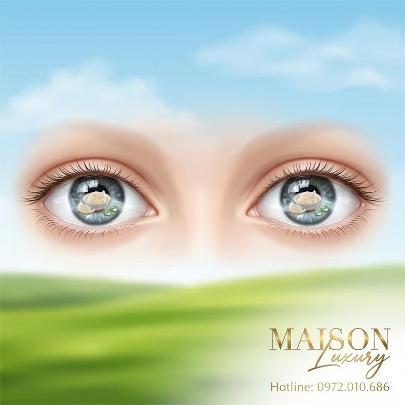 Yến Sào và Thị Lực: Giải Pháp Ngăn Ngừa Thoái Hóa Điểm Vàng