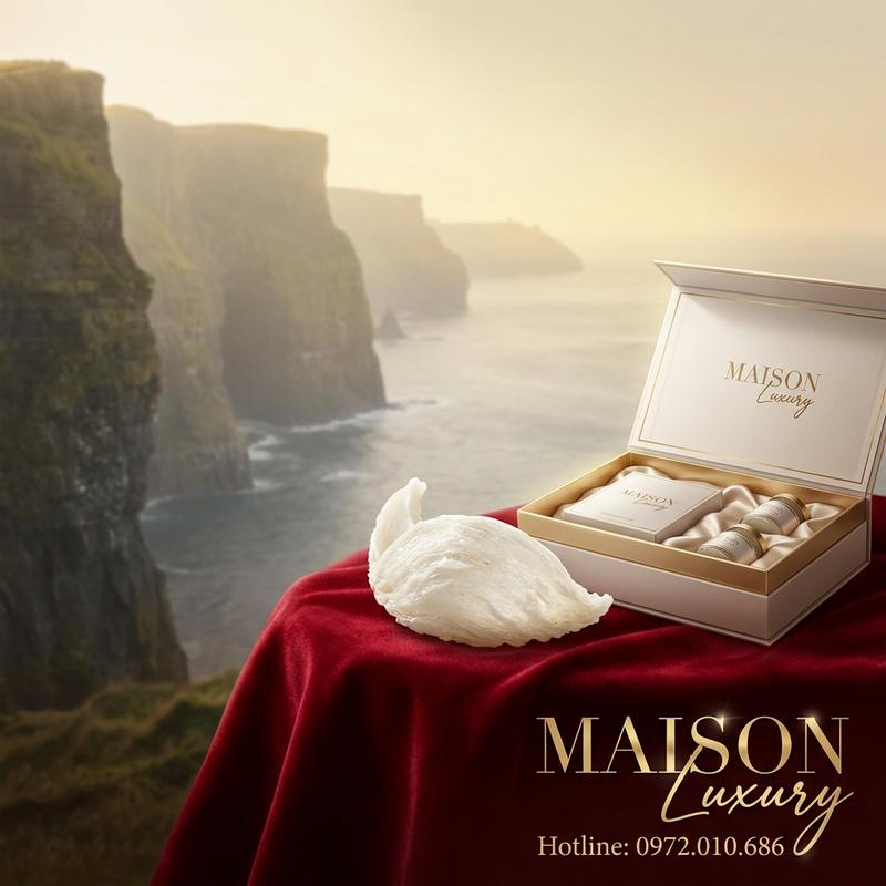 Yến đảo: Từ vách đá hoang sơ đến hộp quà đẳng cấp Maison Luxury