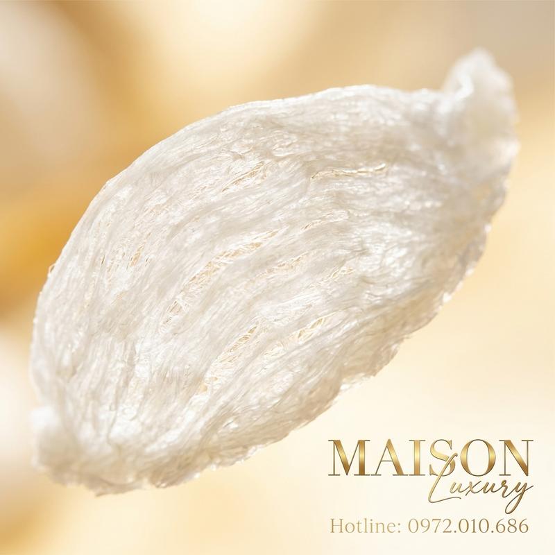 Tyrosine Trong Yến Sào: Chìa Khóa Phục Hồi Trí Nhớ Cho Người Già